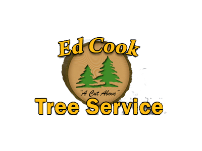 Ed Cook Tree Service